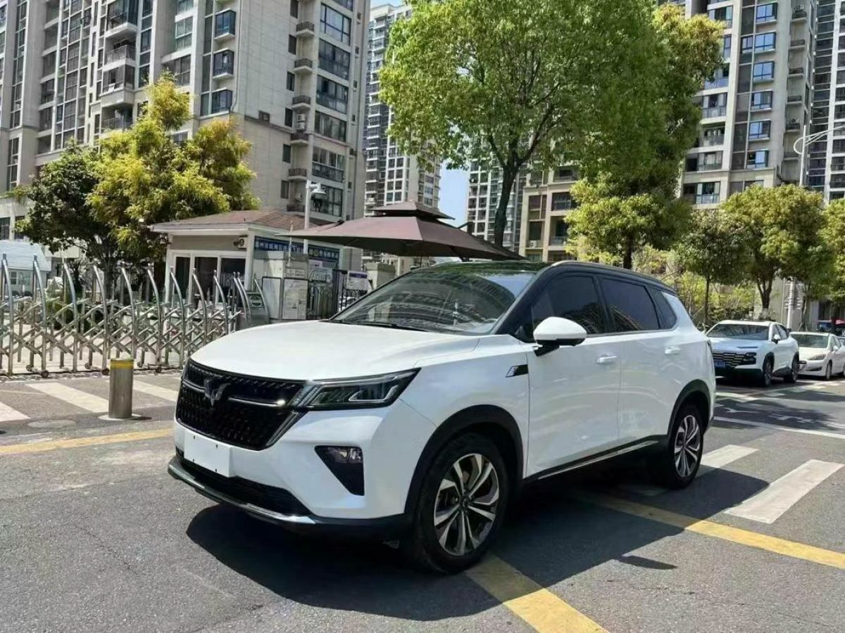 五菱 五菱星辰  2022款 2.0L DHT電勁款圖片