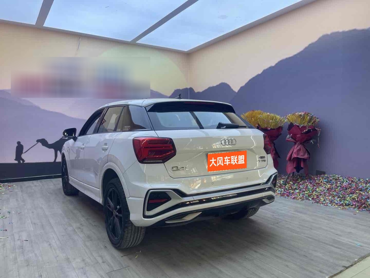 奧迪 奧迪Q2L  2024款 35TFSI 進(jìn)取動(dòng)感型圖片