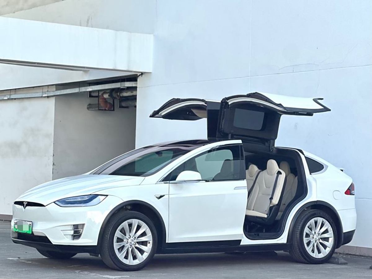 特斯拉 Model X  2017款 Model X 100D 長續(xù)航版圖片