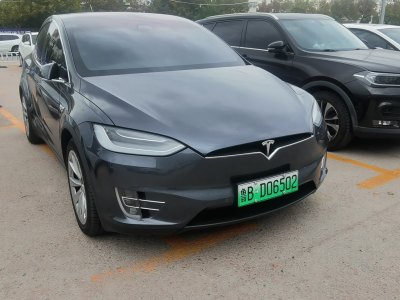 2020年10月 特斯拉 Model X 長續(xù)航版圖片