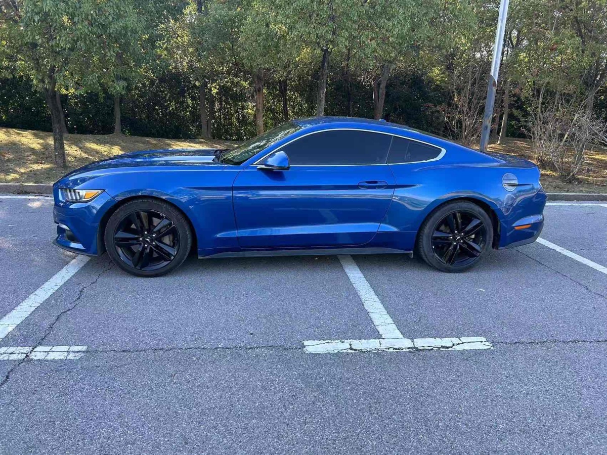 福特 Mustang  2017款 2.3T 性能版圖片