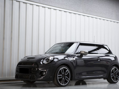 2021年4月 MINI MINI 2.0T COOPER S 賽車(chē)手圖片