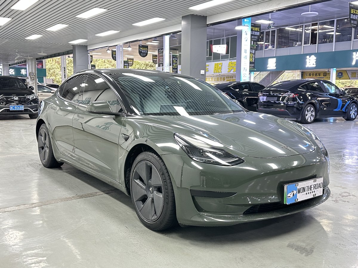 特斯拉 Model 3  2021款 標(biāo)準(zhǔn)續(xù)航后驅(qū)升級版 3D6圖片