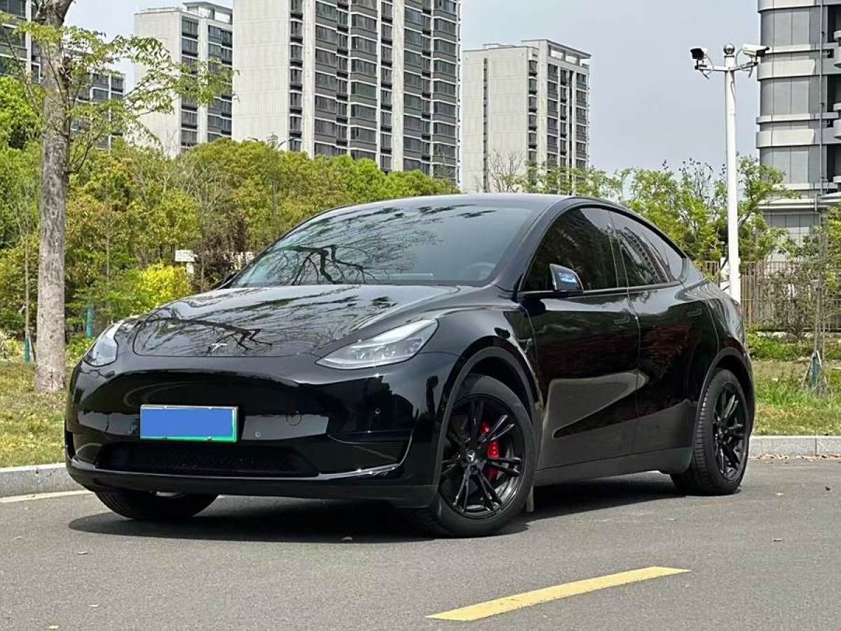 特斯拉 Model Y  2020款 改款 長續(xù)航后輪驅(qū)動版圖片