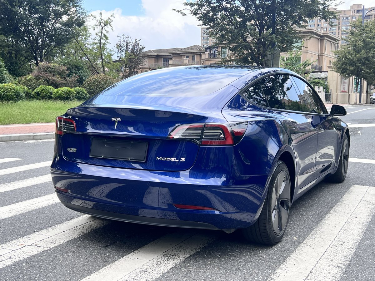 特斯拉 Model Y  2021款 標(biāo)準(zhǔn)續(xù)航后驅(qū)升級版 3D6圖片