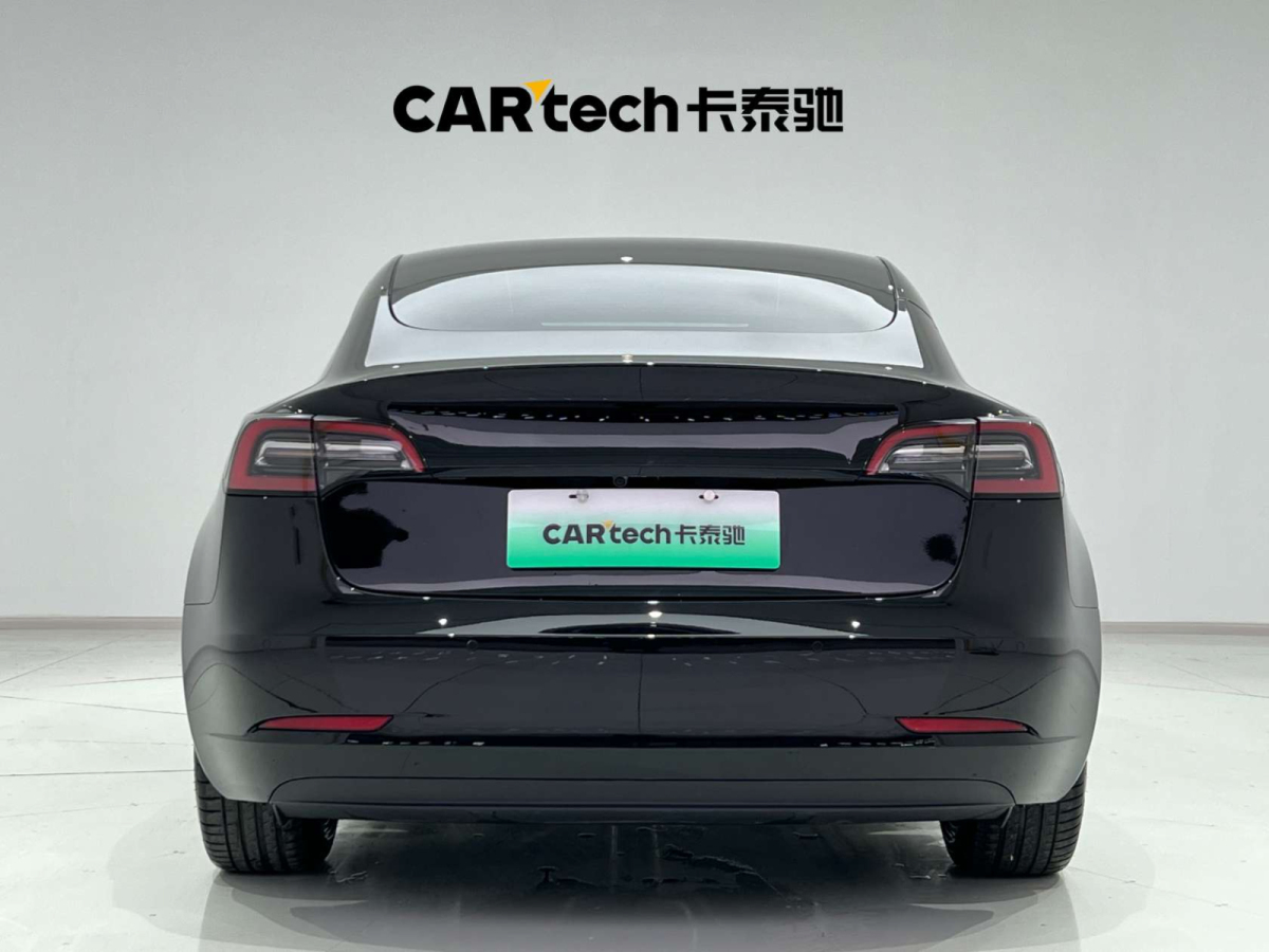 特斯拉 Model 3  2022款 后輪驅(qū)動版圖片