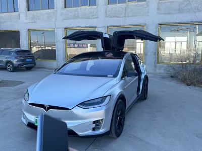 2018年2月 特斯拉 Model X Model X 75D圖片