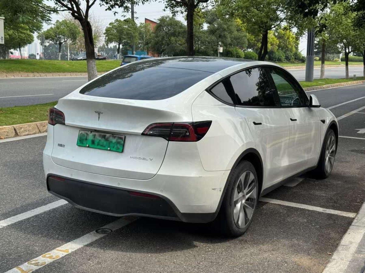 特斯拉 Model Y  2021款 標(biāo)準(zhǔn)續(xù)航后驅(qū)版圖片