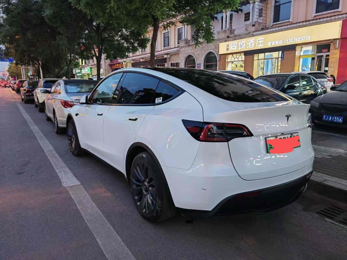 特斯拉 Model Y  2021款 標(biāo)準(zhǔn)續(xù)航后驅(qū)版圖片