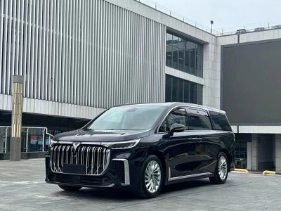 2024年2月 嵐圖 夢(mèng)想家 PHEV 超長(zhǎng)續(xù)航尊貴版圖片