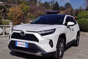 RAV4榮放 豐田 2.0L CVT兩驅20周年鉑金紀念版