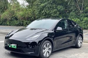 Model Y 特斯拉 改款 长续航后轮驱动版