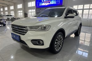 H6 哈弗 换代 蓝标 2.0T 自动两驱智尚型