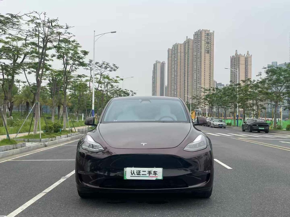特斯拉 Model S  2021款 Performance 高性能版圖片