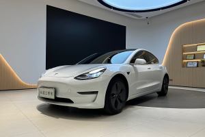 Model 3 特斯拉 长续航后驱版