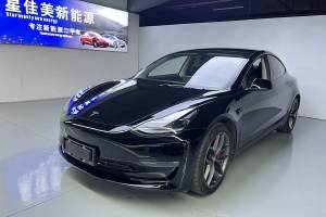 Model Y 特斯拉 Performance高性能全輪驅(qū)動版