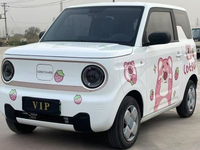 2023年5月 吉利 熊貓mini 120km 超萌熊圖片