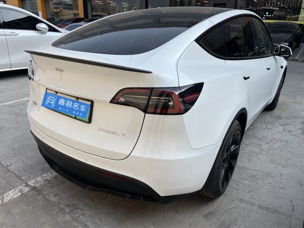 特斯拉 Model 3  2020款 改款 長續(xù)航后輪驅(qū)動版圖片