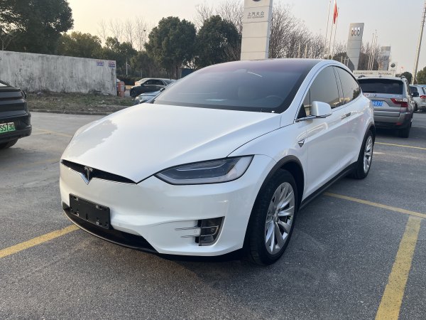 特斯拉 Model X  2019款 标准续航版