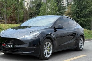 Model Y 特斯拉 標(biāo)準(zhǔn)續(xù)航后驅(qū)版