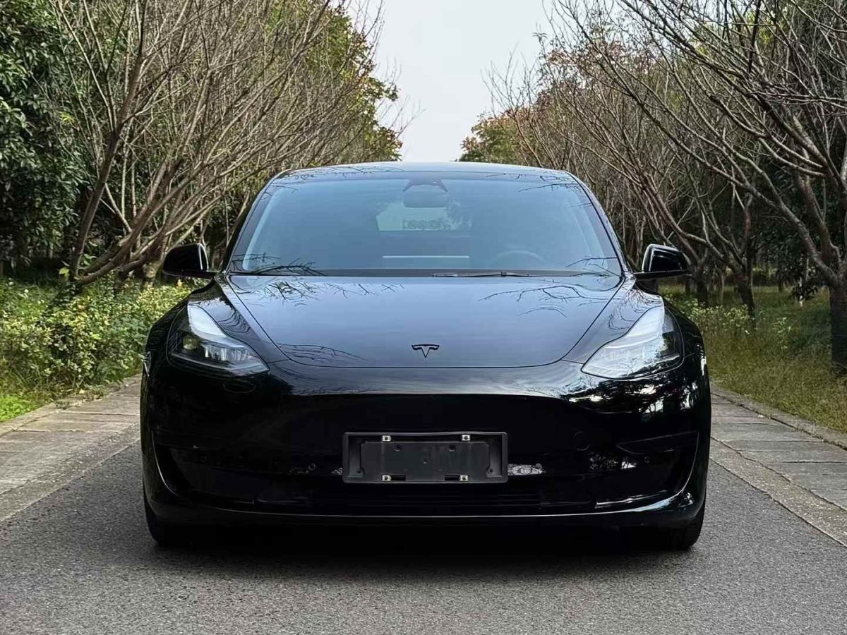 特斯拉 Model 3  2022款 Performance高性能全輪驅(qū)動(dòng)版圖片