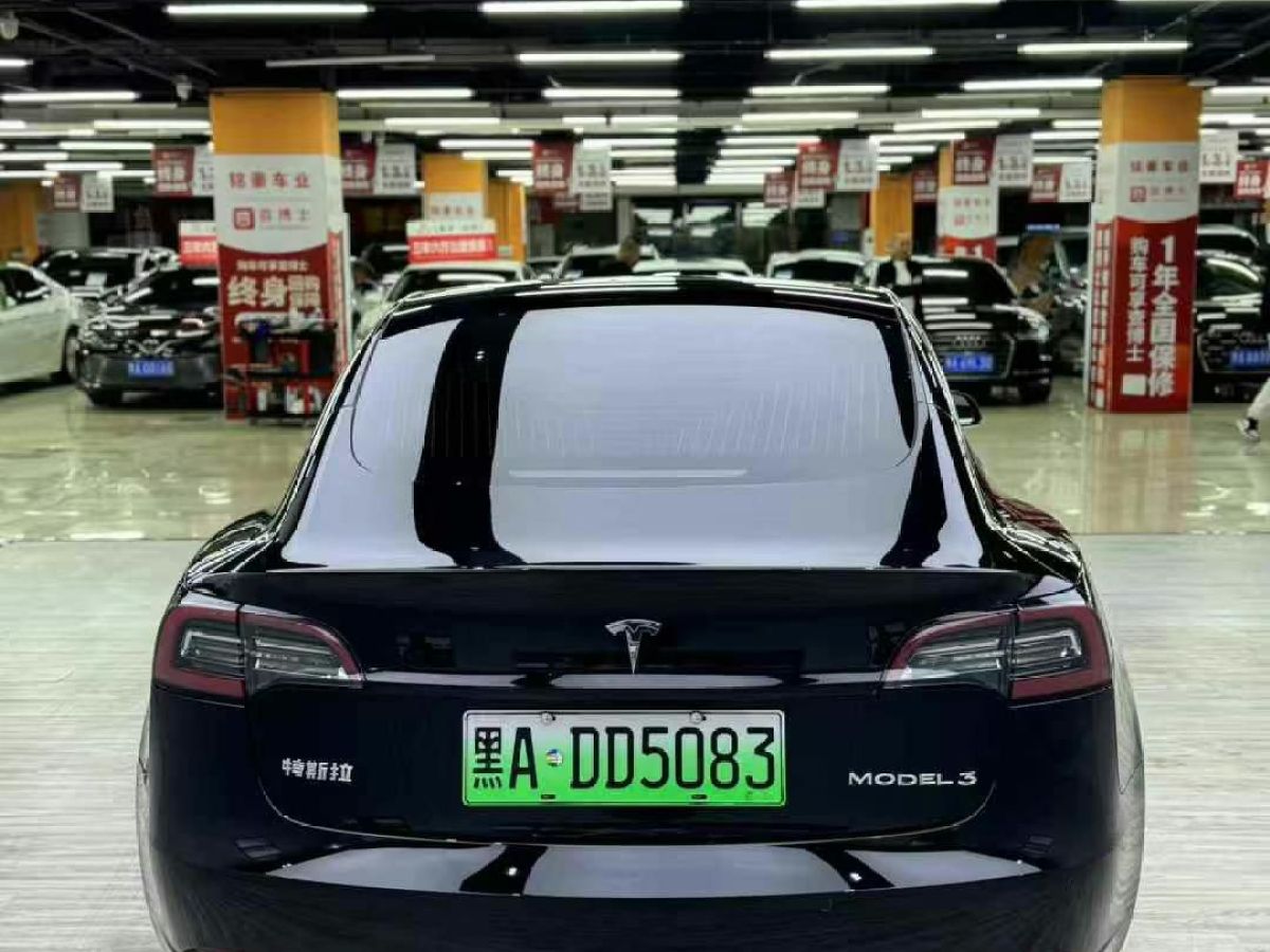特斯拉 Model X  2020款 Performance 高性能版圖片