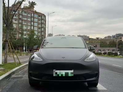 2021年10月 特斯拉 Model Y 標準續(xù)航后驅(qū)版圖片