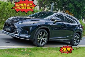 RX 雷克薩斯 改款 300 四驅(qū)典雅版