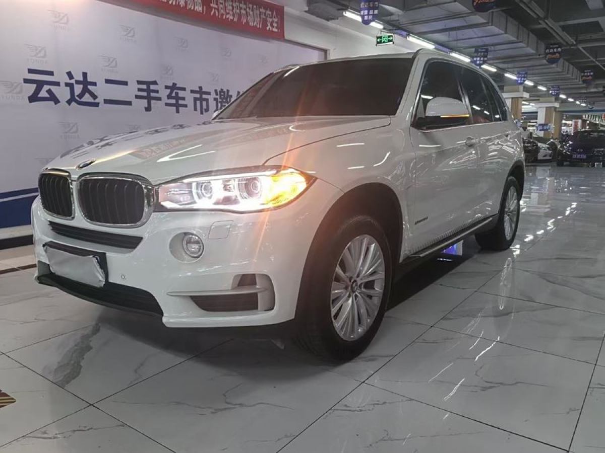 寶馬 寶馬X5  2014款 xDrive35i 領(lǐng)先型圖片