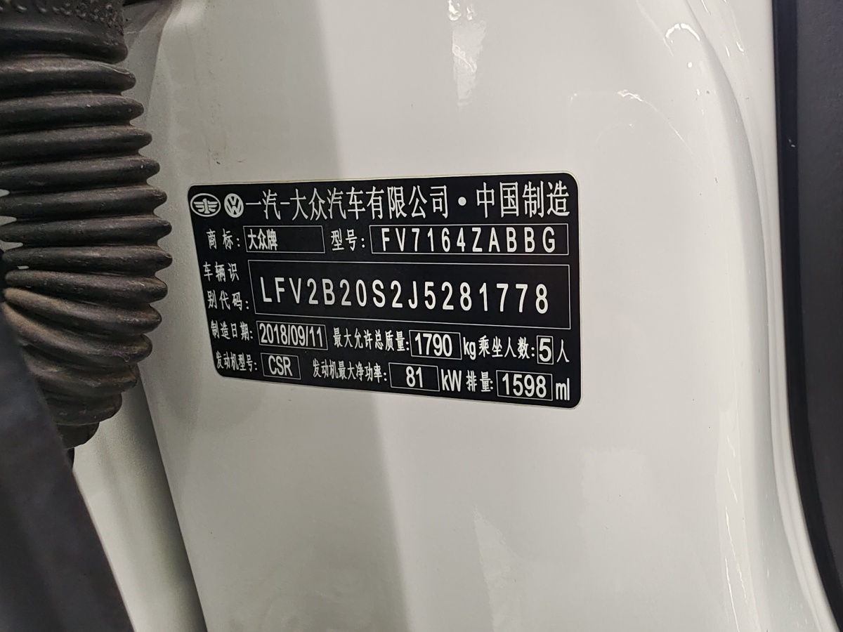 2019年1月大眾 高爾夫?嘉旅  2018款 1.6L 自動舒適型