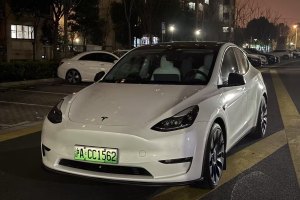 Model 3 特斯拉 Performance高性能全輪驅(qū)動(dòng)版