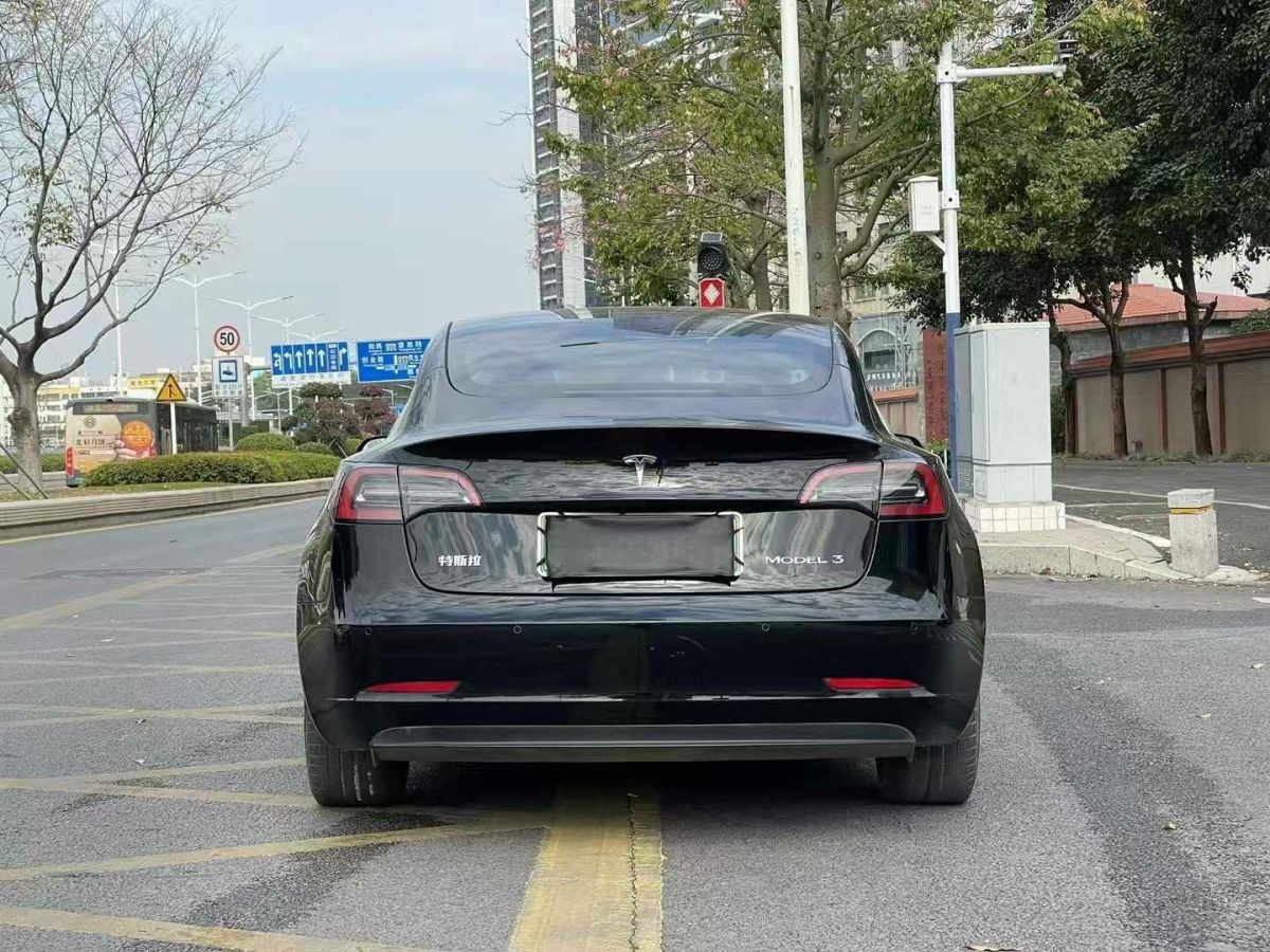 特斯拉 Model 3  2022款 Performance高性能全輪驅(qū)動(dòng)版圖片