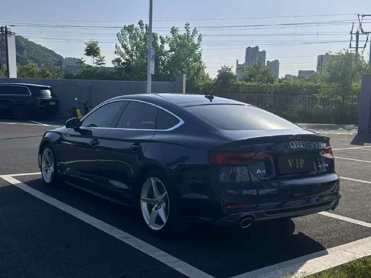 奧迪 奧迪Q5  2018款 典藏版 40 TFSI 技術(shù)型圖片