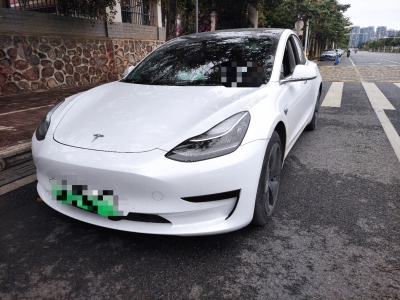 2021年1月 特斯拉 Model 3 改款 標(biāo)準(zhǔn)續(xù)航后驅(qū)升級(jí)版圖片