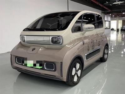 2023年3月 宝骏 宝骏KiWi EV 大疆版 三元锂图片