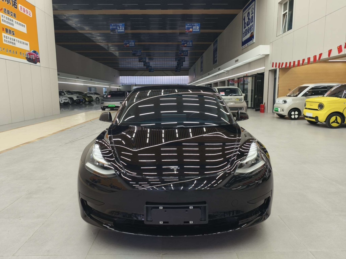 特斯拉 Model 3  2020款 改款 標(biāo)準(zhǔn)續(xù)航后驅(qū)升級(jí)版圖片