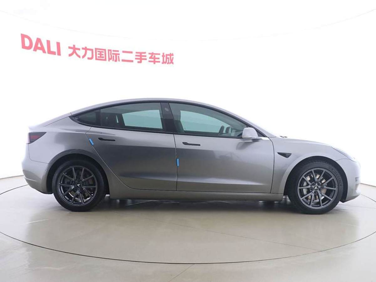 特斯拉 Model 3  2020款 改款 標(biāo)準(zhǔn)續(xù)航后驅(qū)升級版圖片