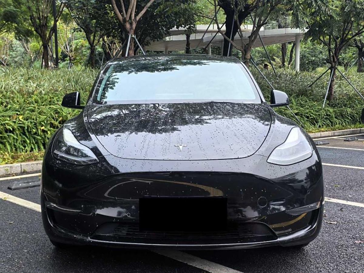 特斯拉 Model Y  2021款 改款 長續(xù)航全輪驅(qū)動版圖片