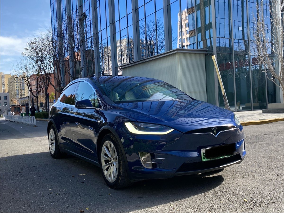 特斯拉 Model X  2017款 Model X 100D 長續(xù)航版圖片