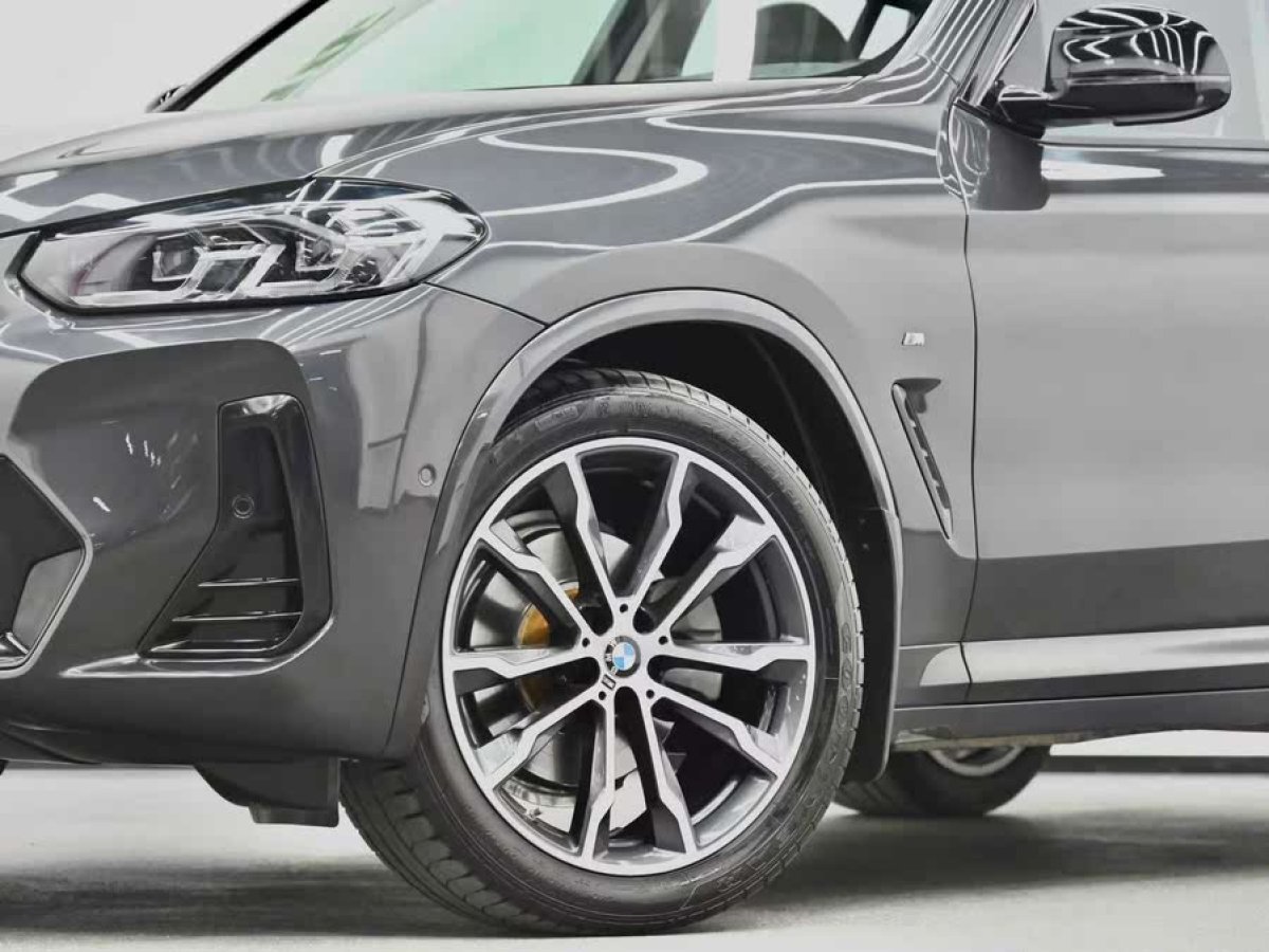 寶馬 寶馬X3  2022款 xDrive30i 領(lǐng)先型 M曜夜套裝圖片