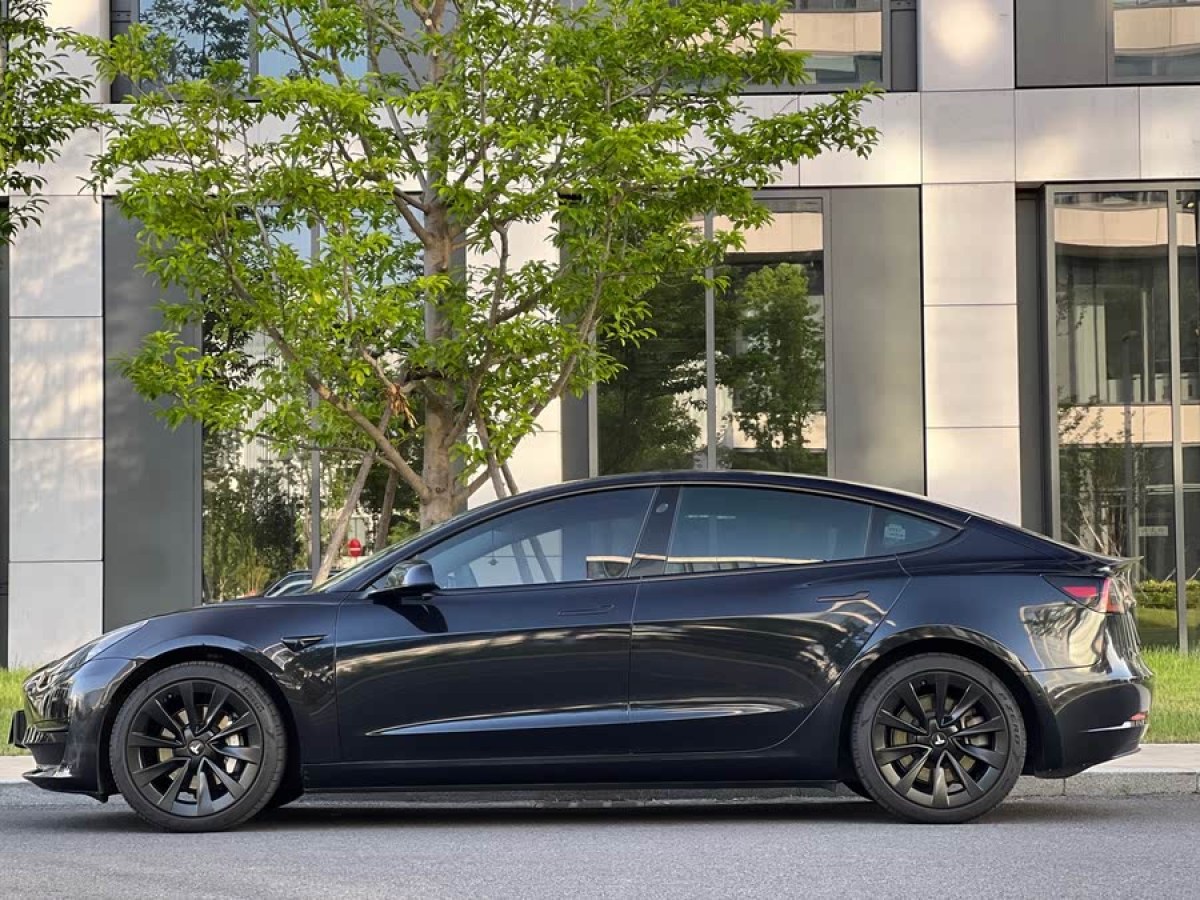 特斯拉 Model 3  2021款 改款 標(biāo)準(zhǔn)續(xù)航后驅(qū)升級(jí)版圖片
