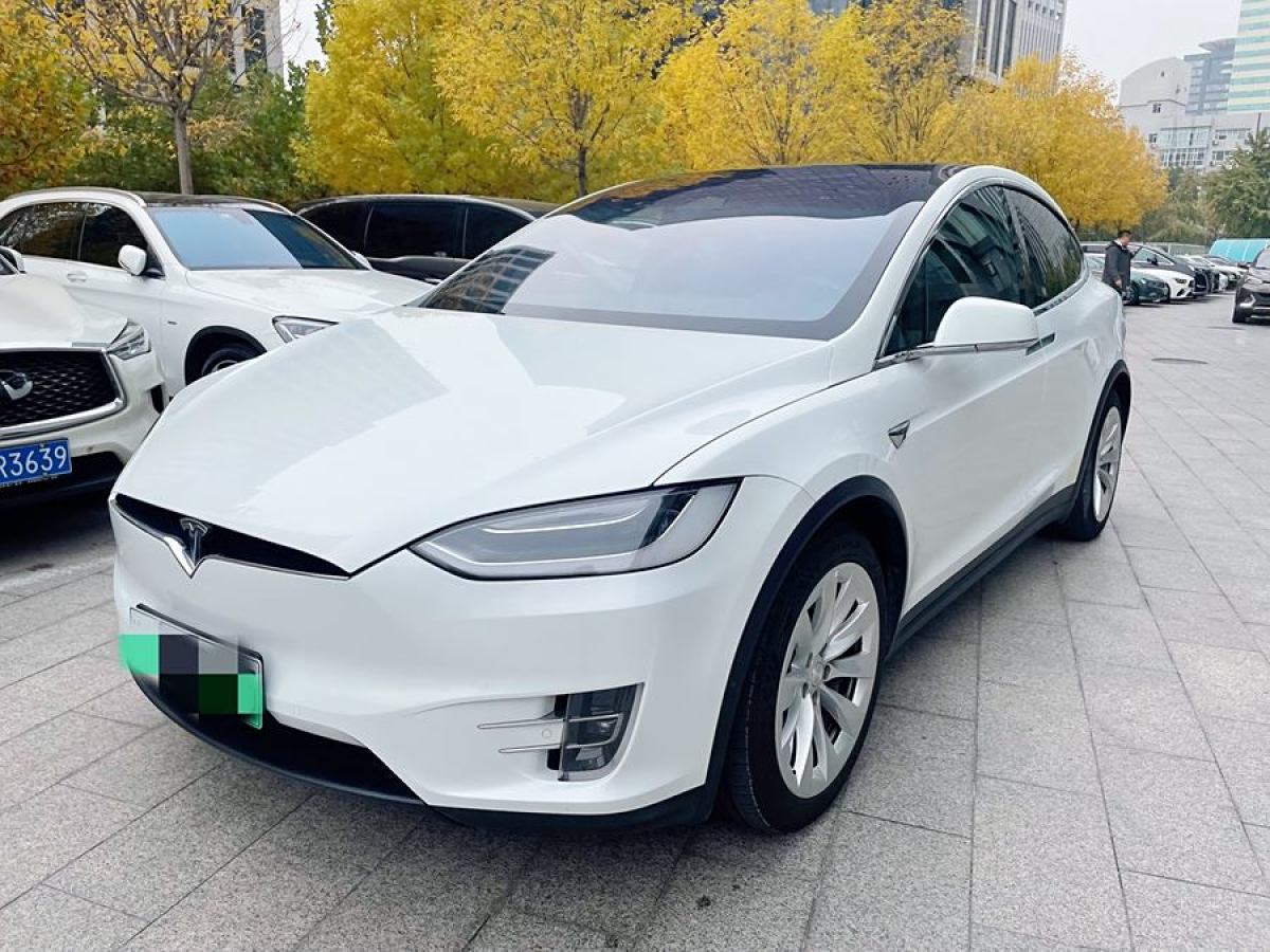 特斯拉 Model X  2017款 Model X 100D 長續(xù)航版圖片