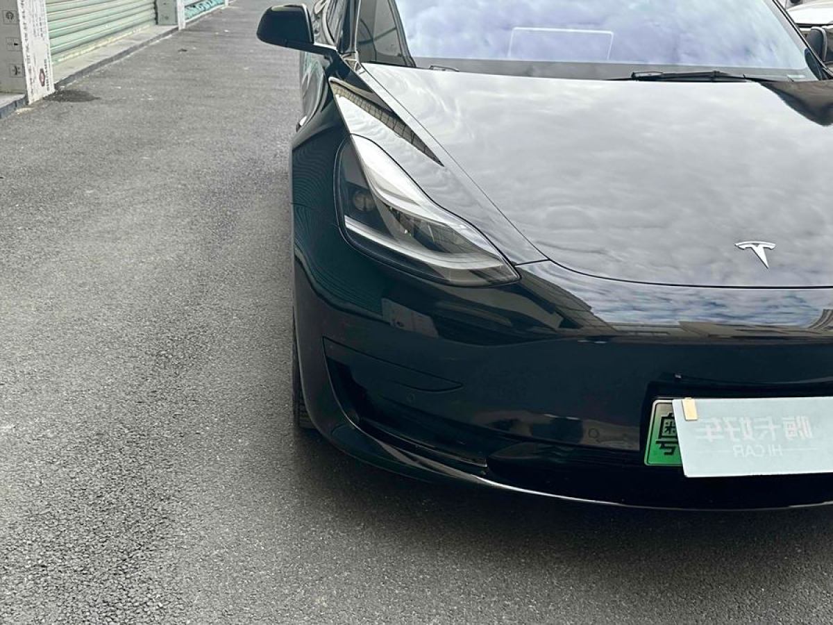 特斯拉 Model 3  2021款 改款 標準續(xù)航后驅升級版圖片