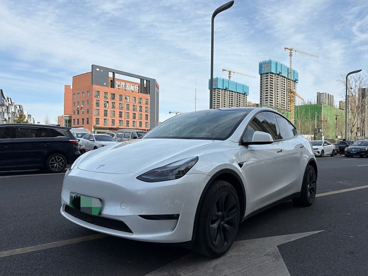 2024年4月特斯拉 Model Y  2024款 長續(xù)航全輪驅(qū)動版