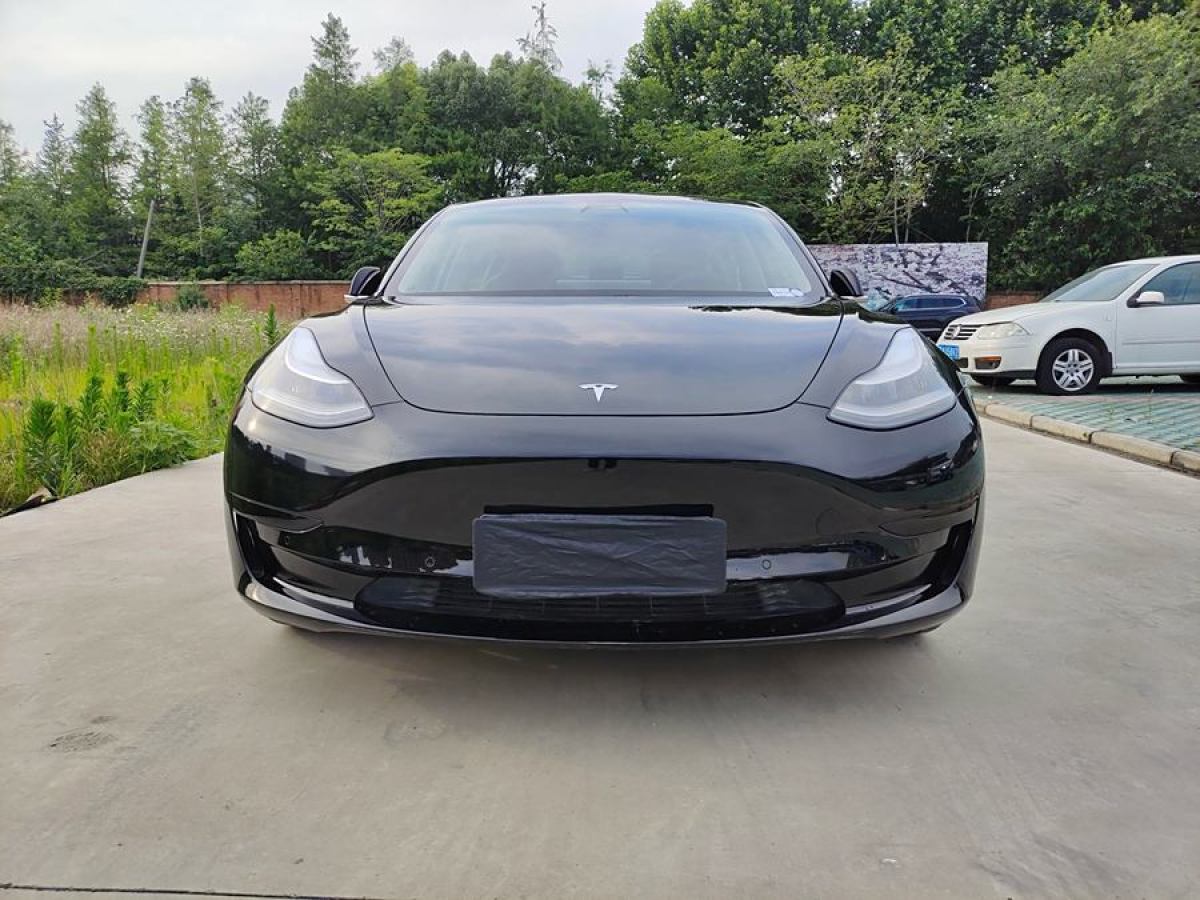 特斯拉 Model 3  2019款 長(zhǎng)續(xù)航全輪驅(qū)動(dòng)版圖片