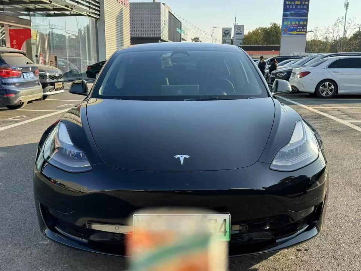 特斯拉 Model 3  2022款 Performance高性能全輪驅(qū)動(dòng)版圖片