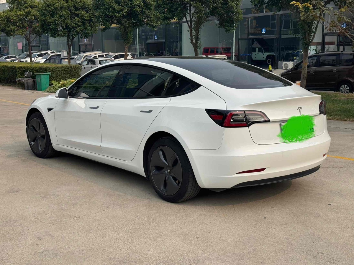 特斯拉 Model 3  2019款 標(biāo)準(zhǔn)續(xù)航后驅(qū)升級版圖片