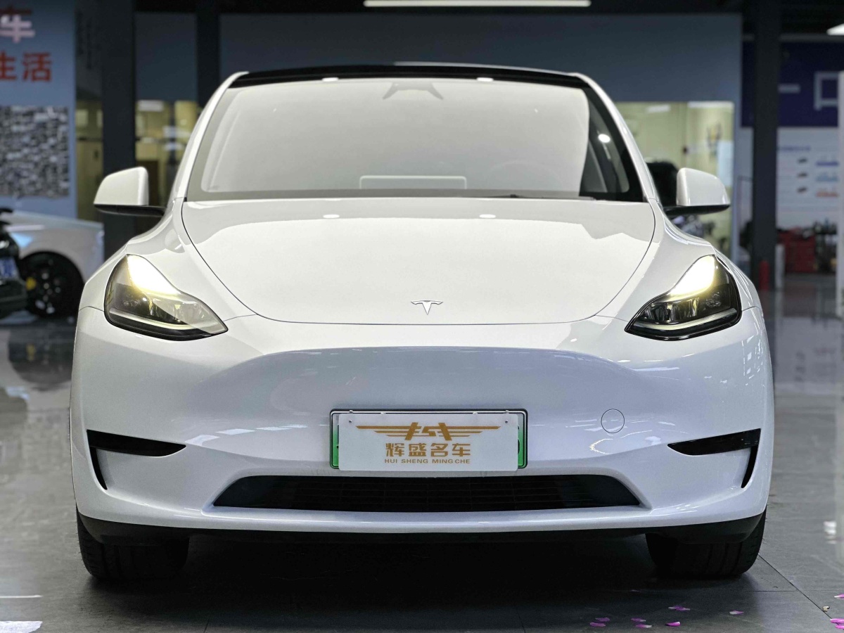 特斯拉 Model 3  2020款 改款 長續(xù)航后輪驅(qū)動版圖片