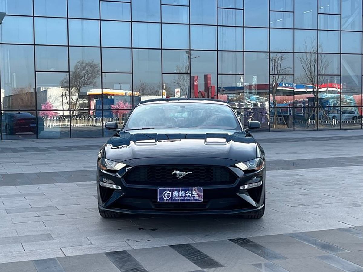 福特 Mustang  2019款 2.3L EcoBoost圖片