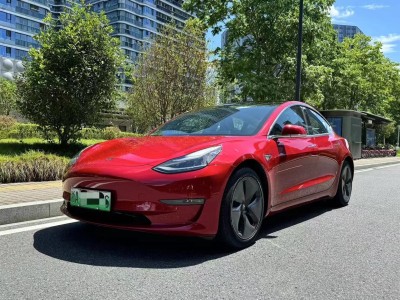 2019年6月 特斯拉 Model 3 长续航后驱版图片